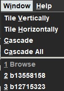 Window view options in Sierra