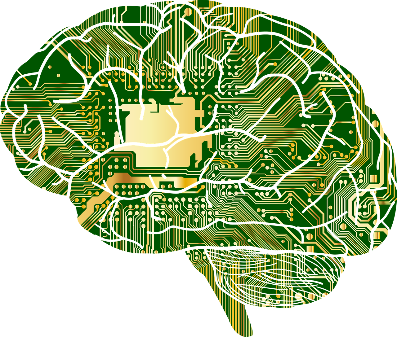 drawing of a brain with connections between the parts