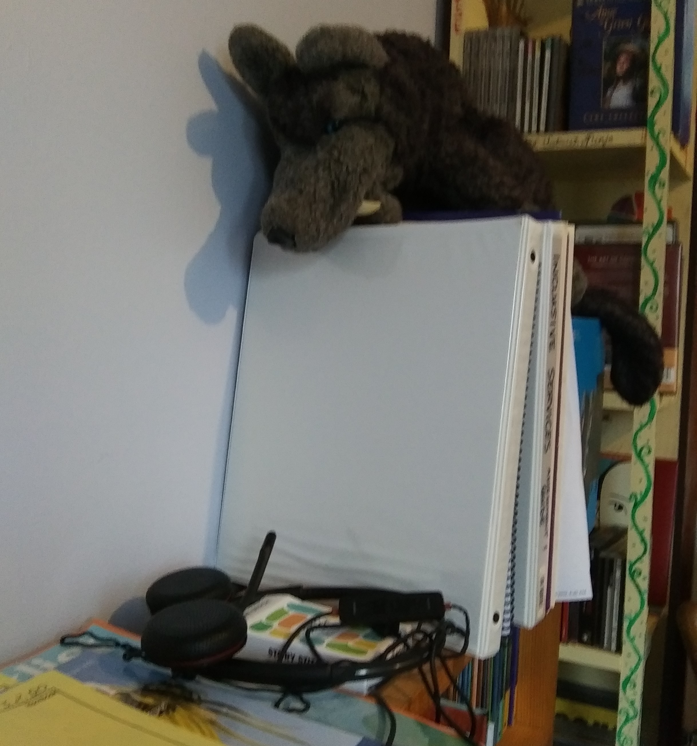 Wolf puppet peers over several 3-ring binders