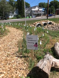 Woodchip path with new plantings and a “Native Wildflower Planting” sign