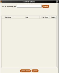 Scan/Delete Items input window